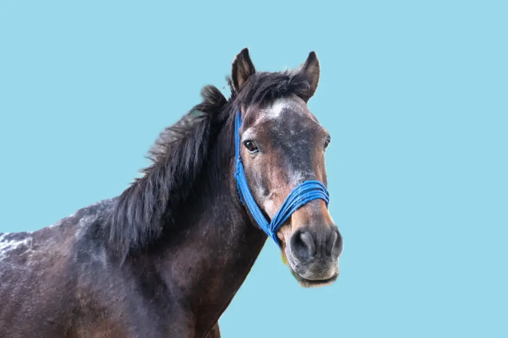 slim sparen zonder in te leveren op je levensstijl zo doe je dat