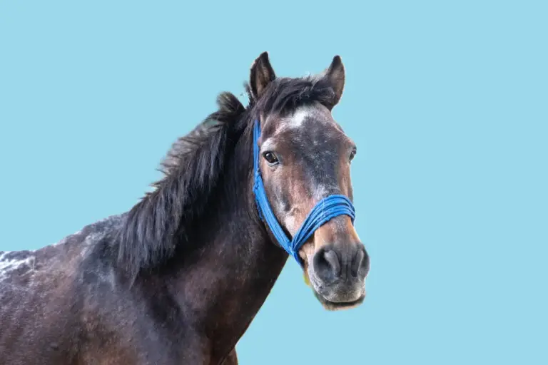 slim sparen zonder in te leveren op je levensstijl zo doe je dat